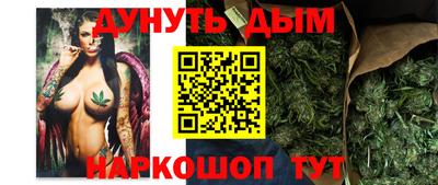 гидра Краснокаменск