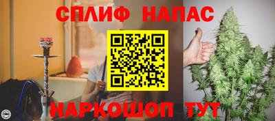 гидра Краснокаменск