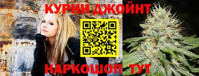 гидра Краснокаменск
