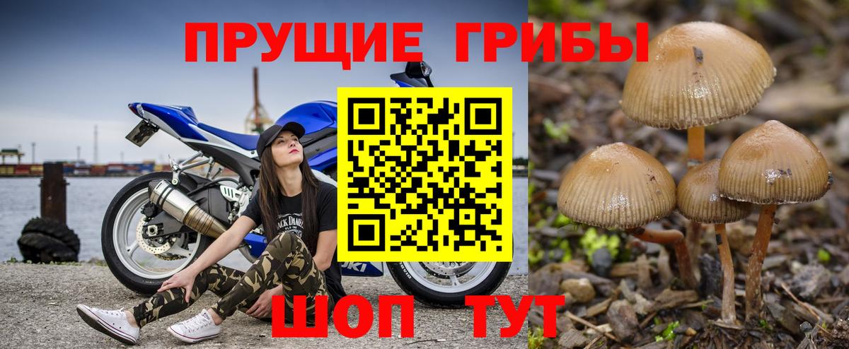 Галлюциногенные грибы Cubensis  Галлюциногенные грибы Cubensis  Ишим  Вход с VPN 